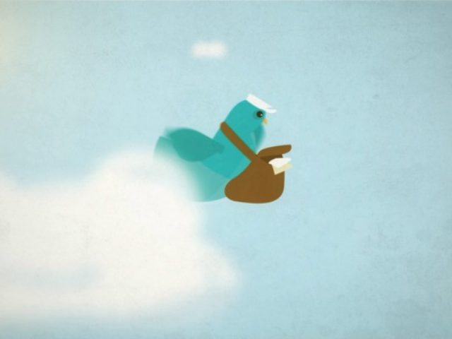 animated pigeon flying