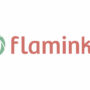 flaminke logo