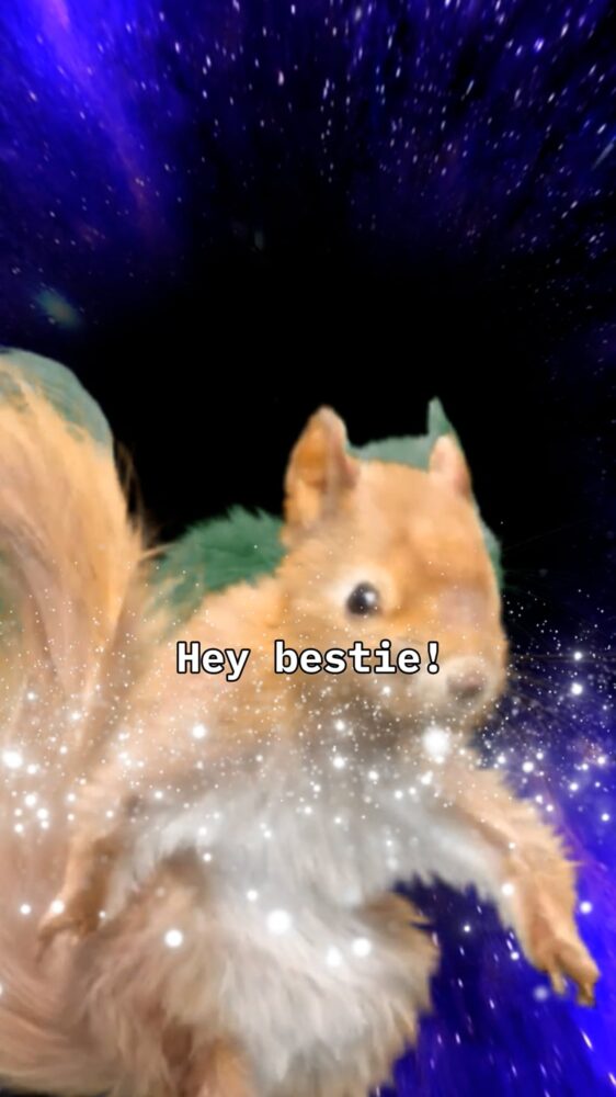 Goodreads: Hey Bestie!